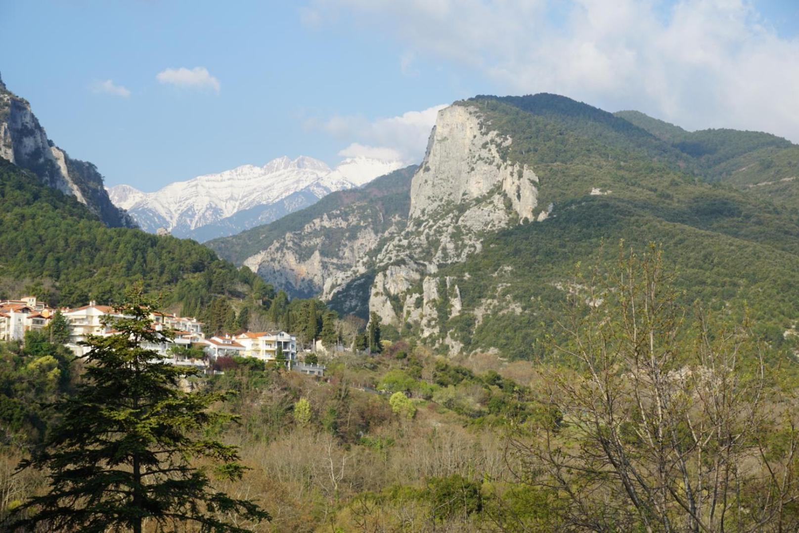 Ενοικιαζόμενα Δωμάτια Ενιπεύς- Rooms Enipeas Litochoro Exteriör bild